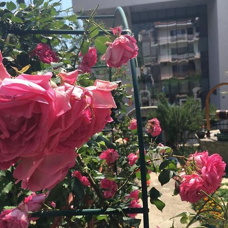 Apartments Milena Tivat Exterior photo