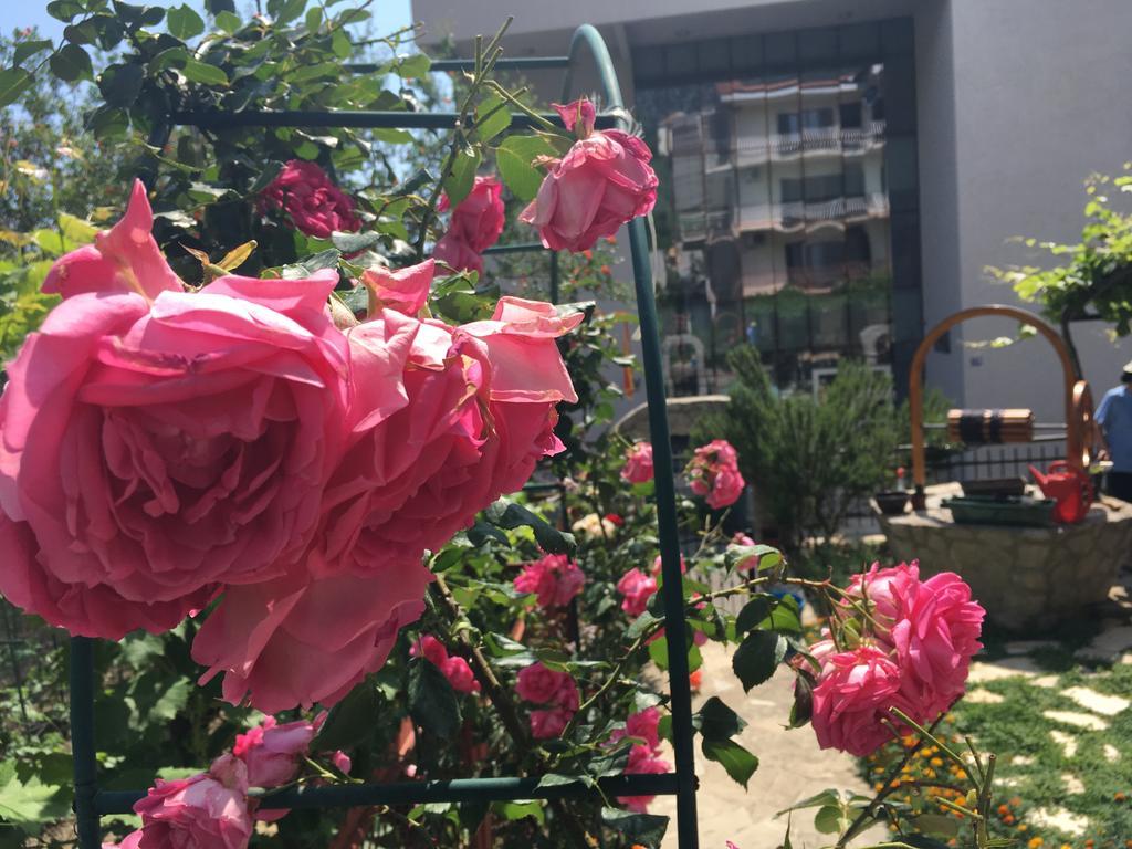 Apartments Milena Tivat Exterior photo